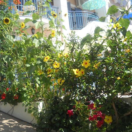 Olive Bay Hotel Agia Efimia Exteriér fotografie